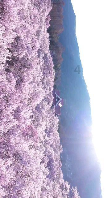 求职、创业、就业培训……这些事温暖了我们整个2023年